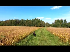 Aviones no tripulados de ala vertical fija, vigilancia de drones, mapeo de aeronaves agrícolas industriales